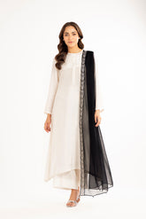 1 Piece Chiffon Embroidered Dupattas/Stoles (FD0038)